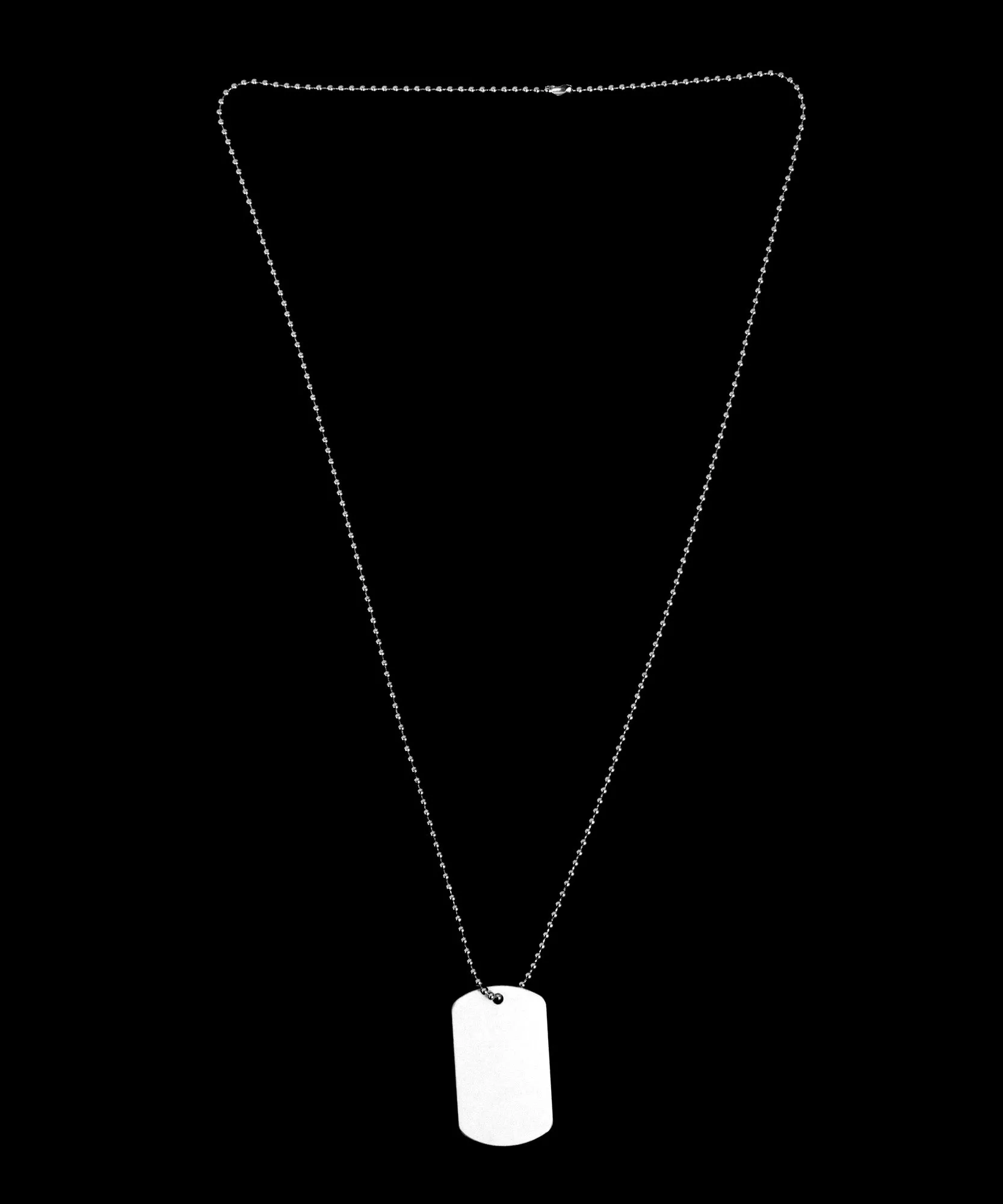 Believe You Can T Roosevelt Adult Dog Tag Chain Necklace by TooLoud