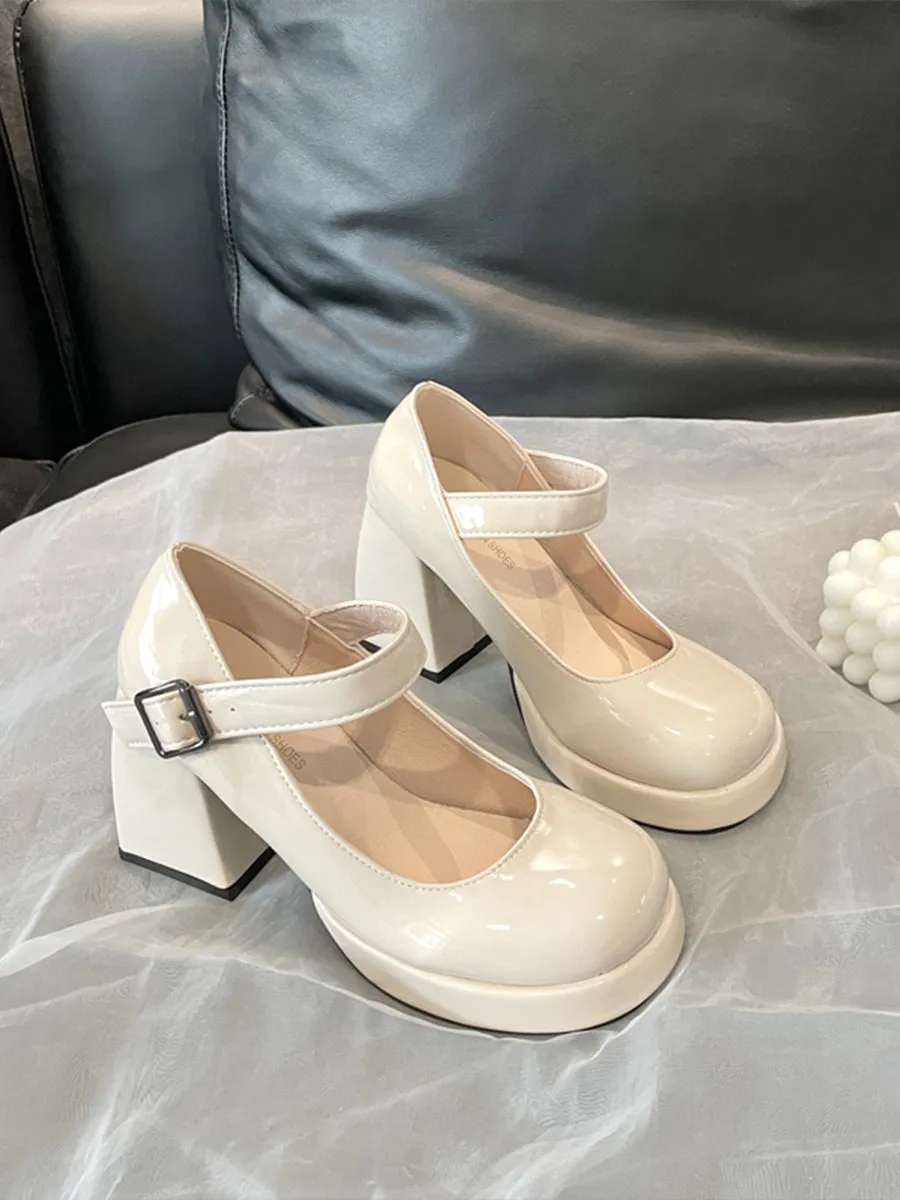 Buckle Decor Platform Chunky Heel Mary Janes Shoes